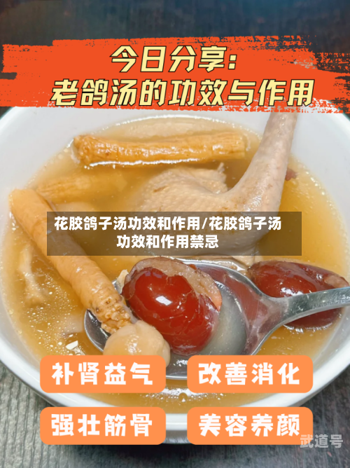 花胶鸽子汤功效和作用/花胶鸽子汤功效和作用禁忌