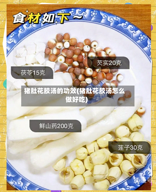 猪肚花胶汤的功效(猪肚花胶汤怎么做好吃)