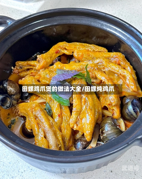 田螺鸡爪煲的做法大全/田螺炖鸡爪