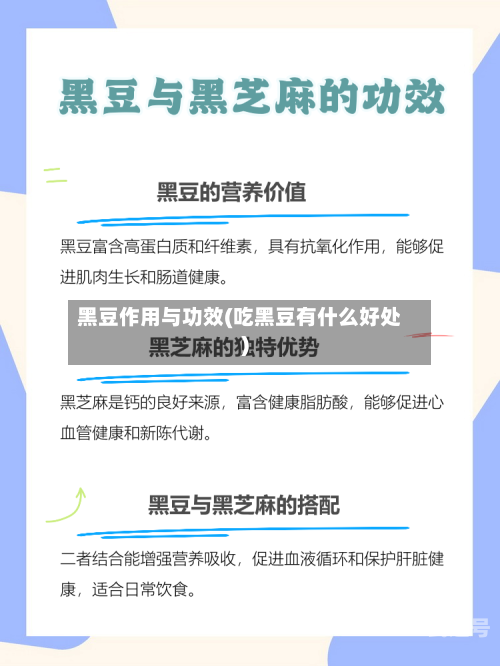 黑豆作用与功效(吃黑豆有什么好处)