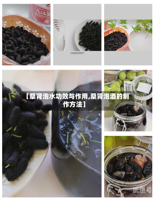 【桑肾泡水功效与作用,桑肾泡酒的制作方法】