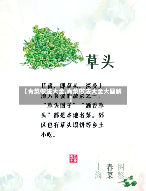 【青菜做法大全,青菜做法大全大图解】