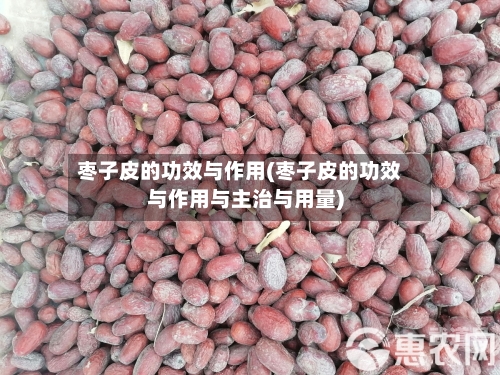 枣子皮的功效与作用(枣子皮的功效与作用与主治与用量)
