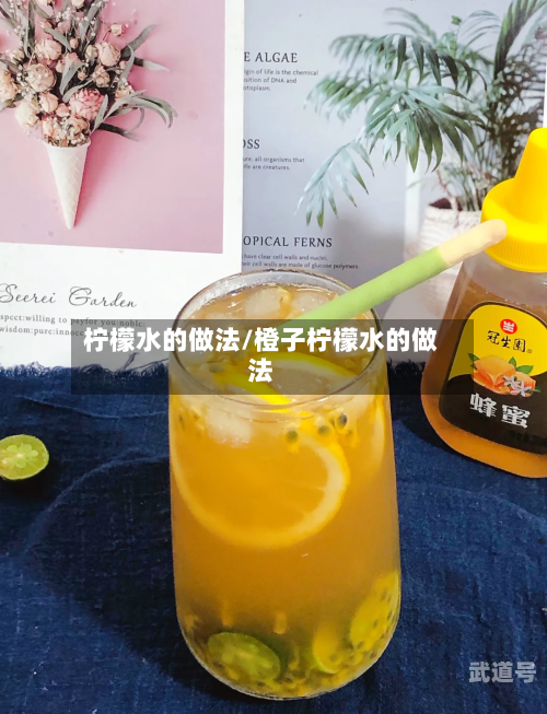 柠檬水的做法/橙子柠檬水的做法