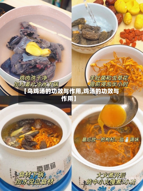 【乌鸡汤的功效与作用,鸡汤的功效与作用】
