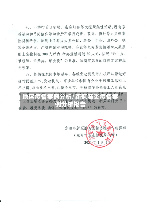 地区疫情案例分析/新冠肺炎疫情案例分析报告