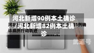 河北新增90例本土确诊/河北新增82例本土确诊