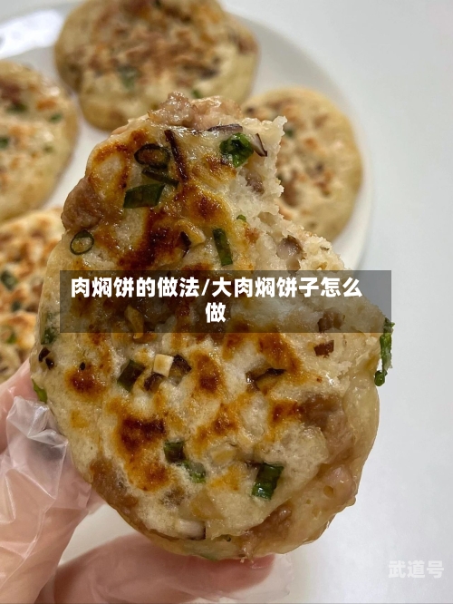 肉焖饼的做法/大肉焖饼子怎么做