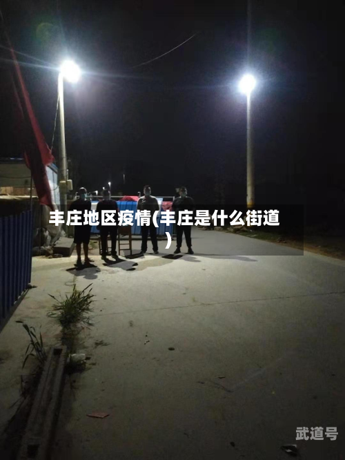 丰庄地区疫情(丰庄是什么街道)