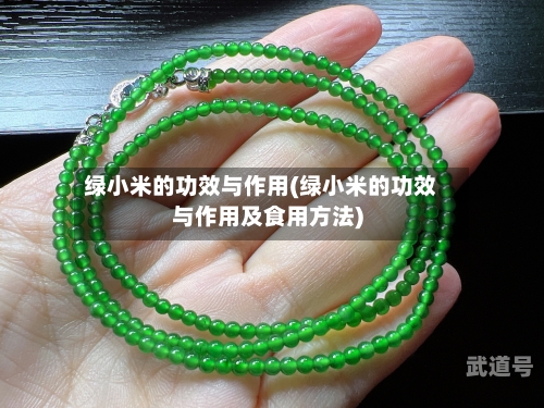 绿小米的功效与作用(绿小米的功效与作用及食用方法)