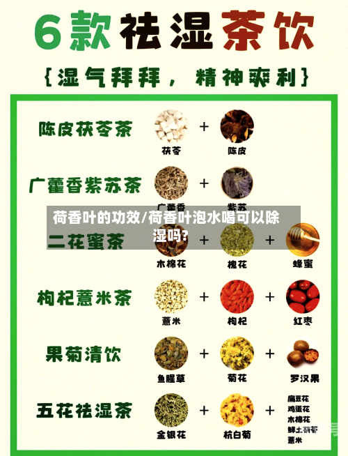 荷香叶的功效/荷香叶泡水喝可以除湿吗?