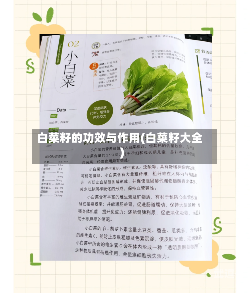 白菜籽的功效与作用(白菜籽大全)