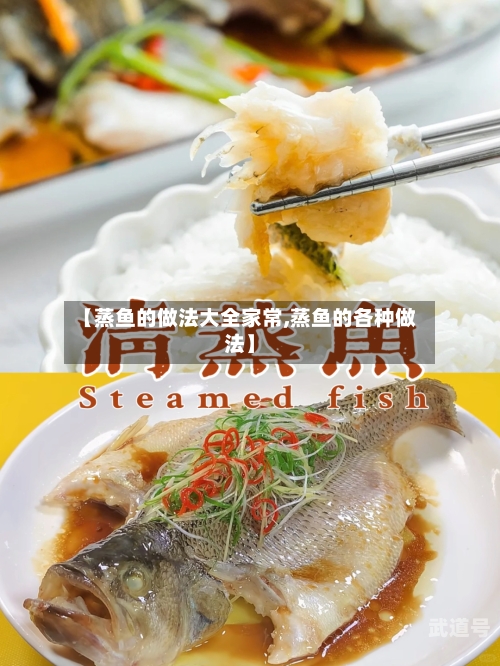 【蒸鱼的做法大全家常,蒸鱼的各种做法】