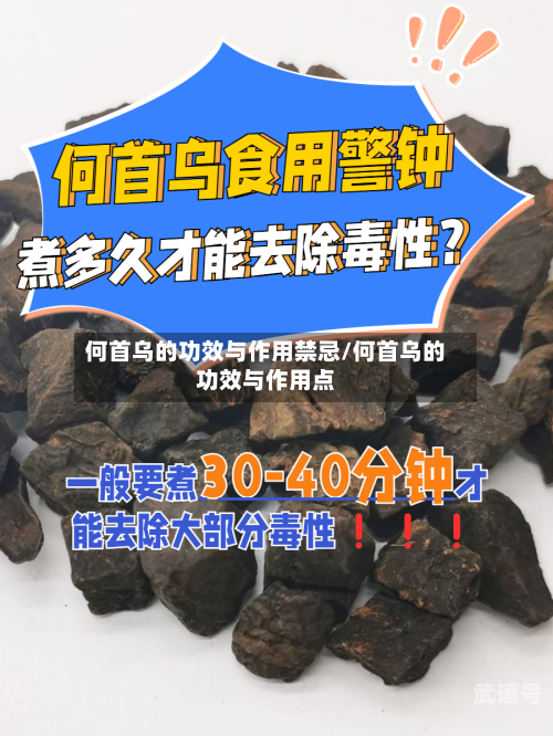 何首乌的功效与作用禁忌/何首乌的功效与作用点