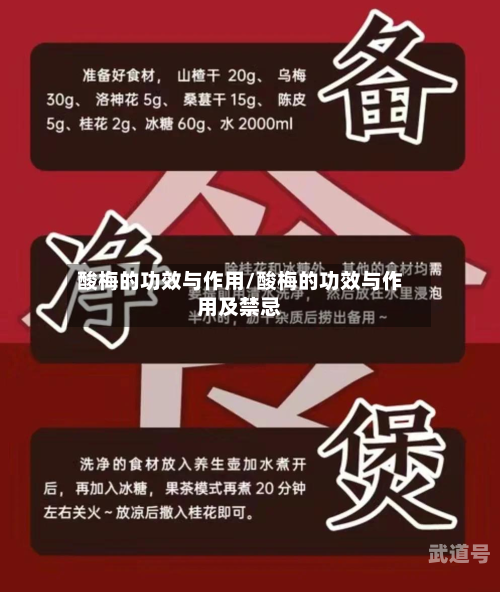 酸梅的功效与作用/酸梅的功效与作用及禁忌
