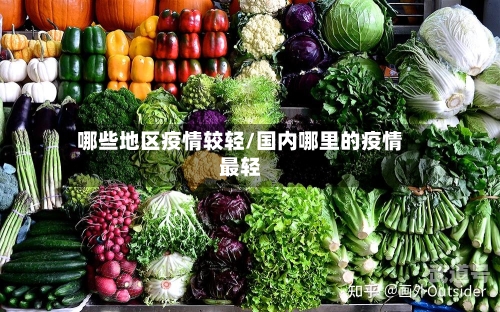 哪些地区疫情较轻/国内哪里的疫情最轻