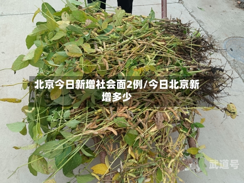 北京今日新增社会面2例/今日北京新增多少