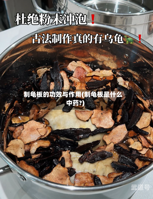 制龟板的功效与作用(制龟板是什么中药?)