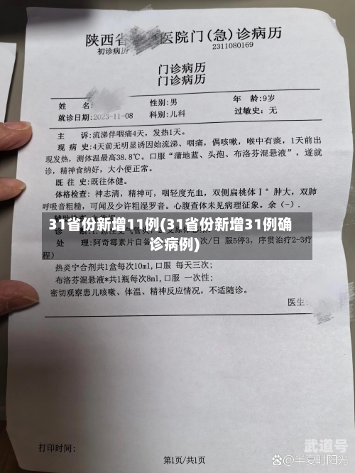 31省份新增11例(31省份新增31例确诊病例)