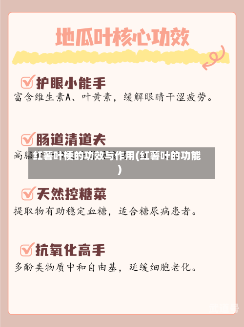 红薯叶梗的功效与作用(红薯叶的功能)