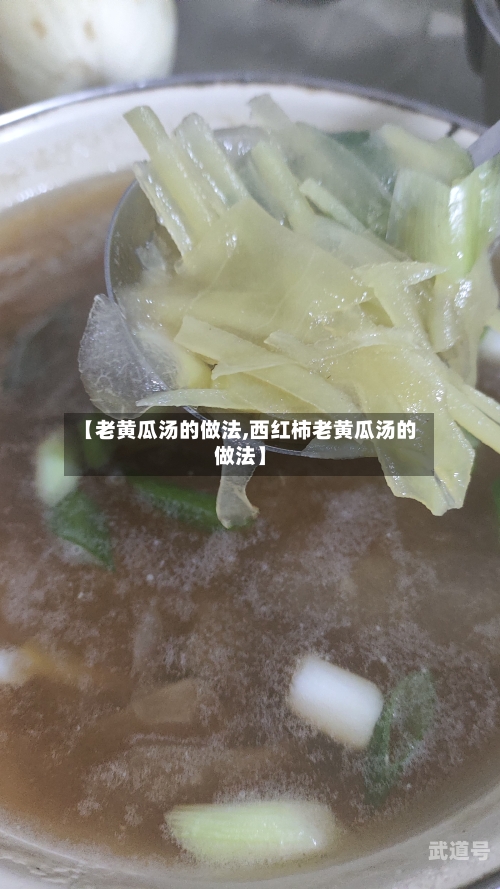 【老黄瓜汤的做法,西红柿老黄瓜汤的做法】