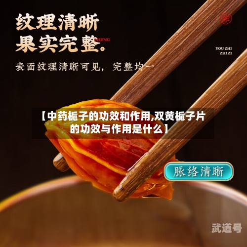 【中药栀子的功效和作用,双黄栀子片的功效与作用是什么】