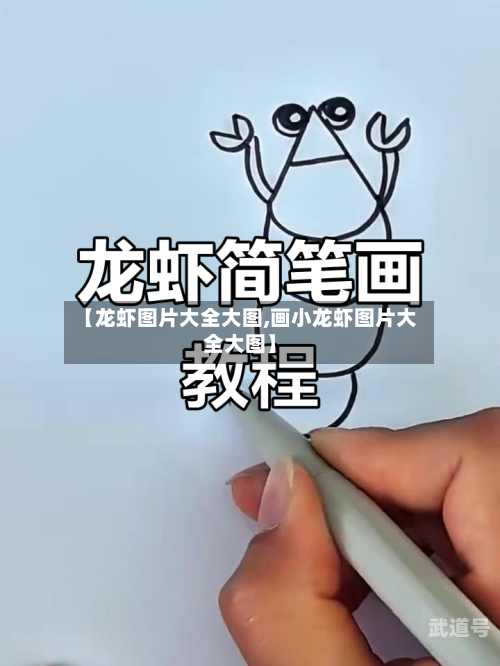 【龙虾图片大全大图,画小龙虾图片大全大图】