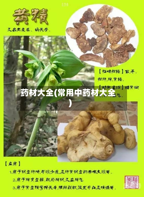 药材大全(常用中药材大全)