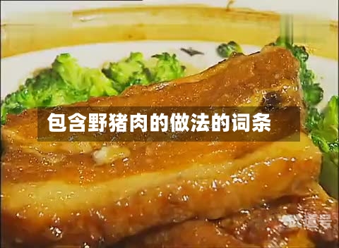 包含野猪肉的做法的词条