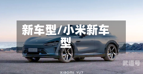 新车型/小米新车型
