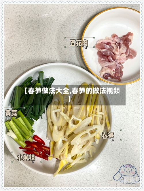【春笋做法大全,春笋的做法视频】