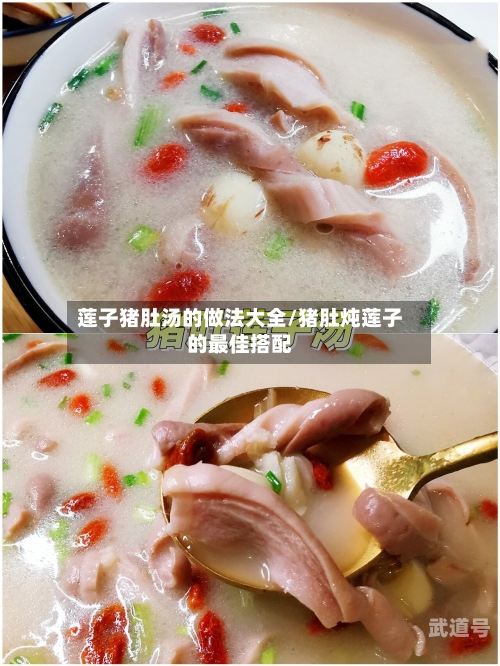 莲子猪肚汤的做法大全/猪肚炖莲子的最佳搭配