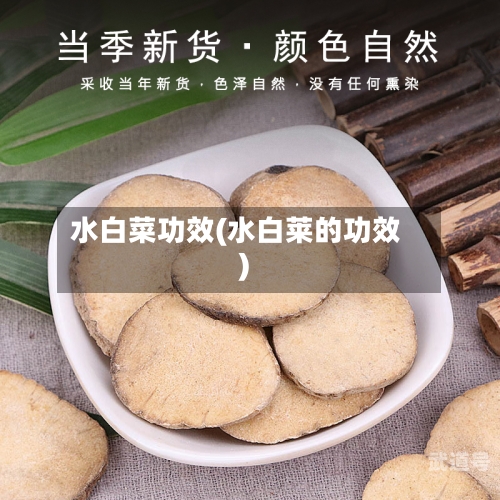 水白菜功效(水白莱的功效)