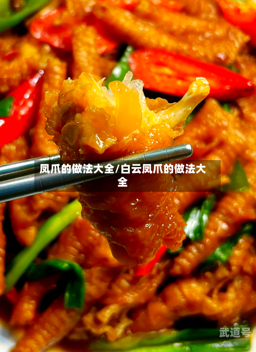 凤爪的做法大全/白云凤爪的做法大全