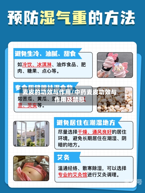麦皮的功效与作用/中药麦皮功效与作用及禁忌