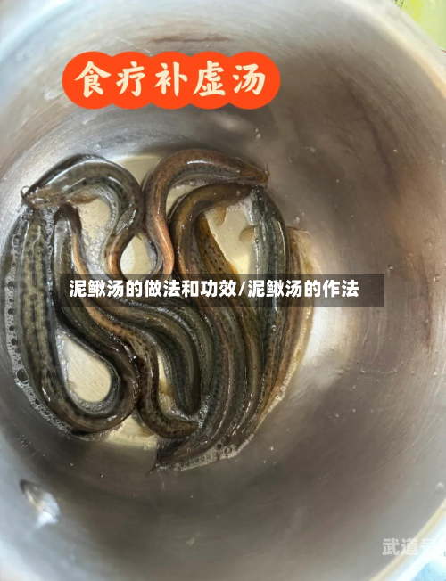泥鳅汤的做法和功效/泥鳅汤的作法