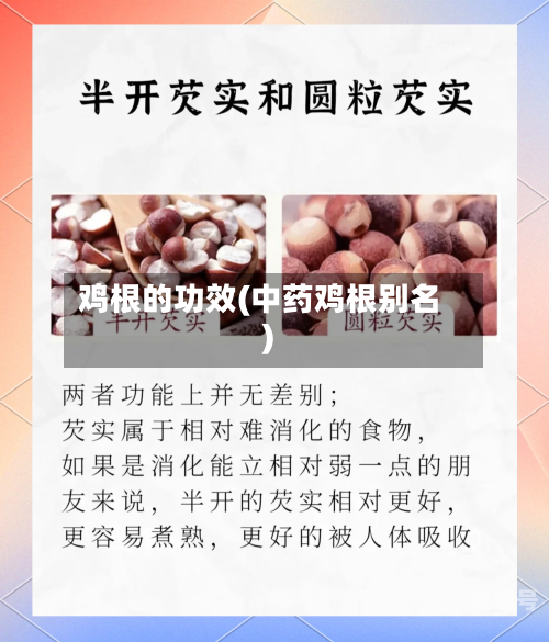 鸡根的功效(中药鸡根别名)