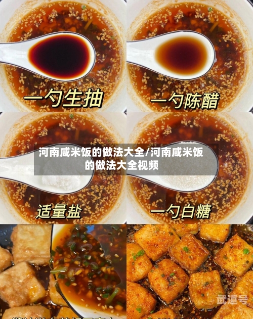 河南咸米饭的做法大全/河南咸米饭的做法大全视频