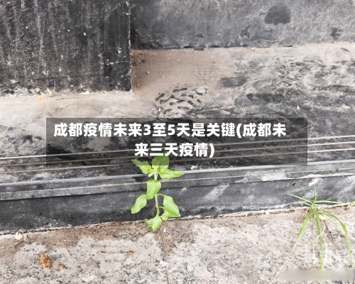 成都疫情未来3至5天是关键(成都未来三天疫情)