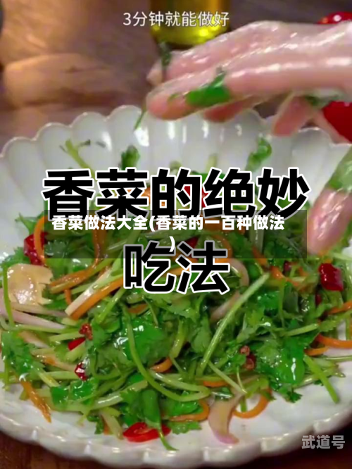 香菜做法大全(香菜的一百种做法)