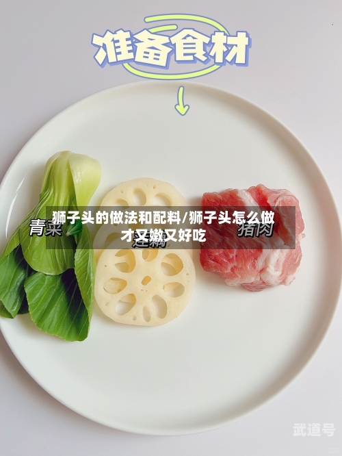 狮子头的做法和配料/狮子头怎么做才又嫩又好吃