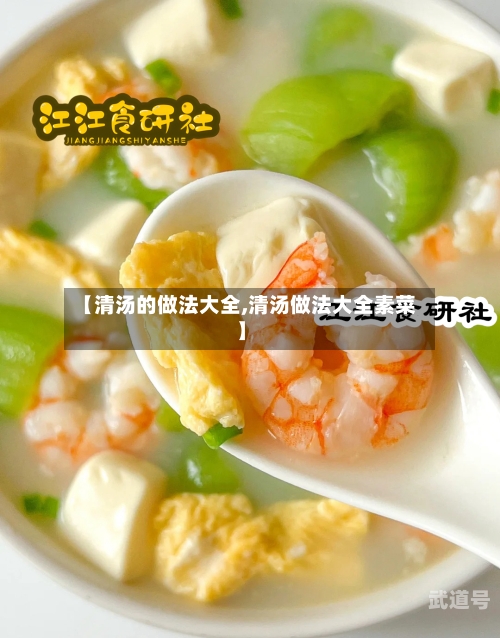 【清汤的做法大全,清汤做法大全素菜】
