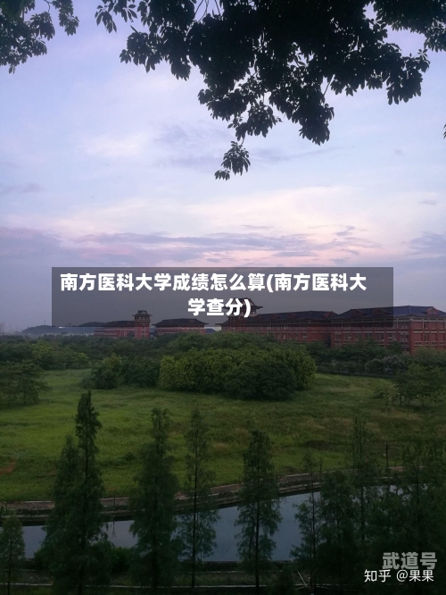 南方医科大学成绩怎么算(南方医科大学查分)