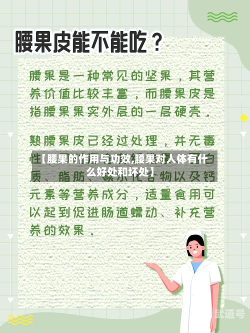 【腰果的作用与功效,腰果对人体有什么好处和坏处】