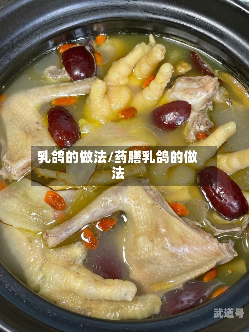 乳鸽的做法/药膳乳鸽的做法