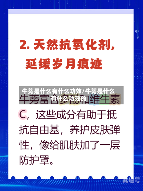 牛蒡是什么有什么功效/牛蒡是什么有什么功效的