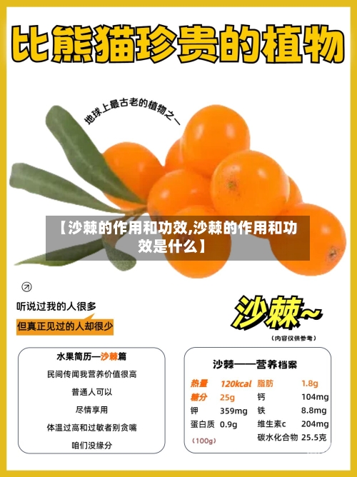 【沙棘的作用和功效,沙棘的作用和功效是什么】