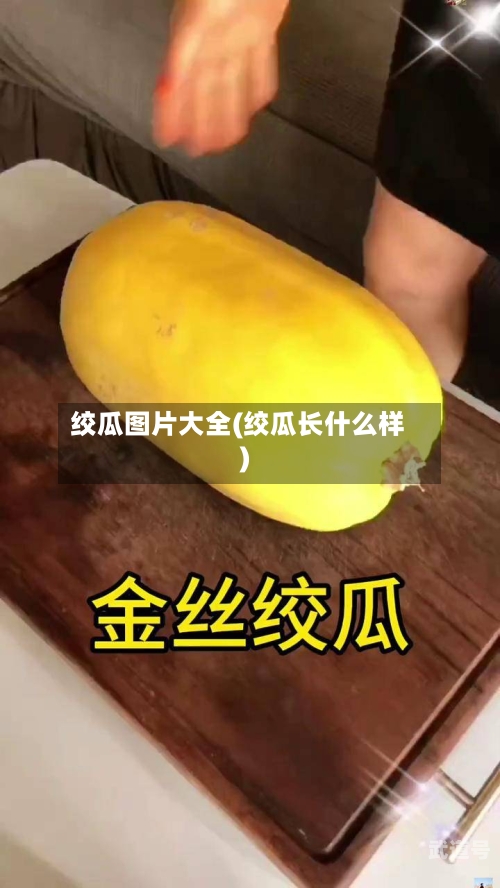 绞瓜图片大全(绞瓜长什么样)