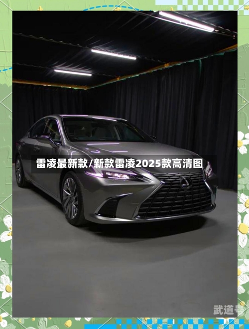 雷凌最新款/新款雷凌2025款高清图
