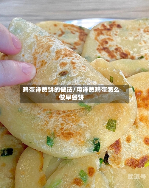 鸡蛋洋葱饼的做法/用洋葱鸡蛋怎么做早餐饼